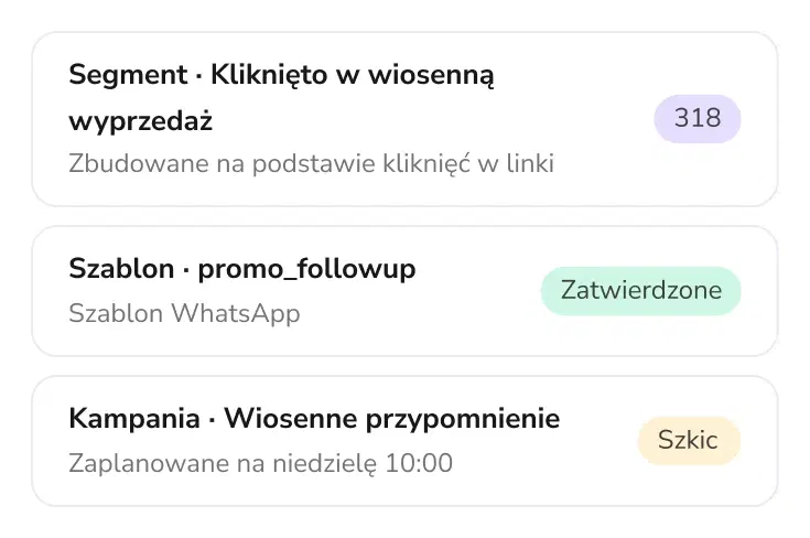 Segment, szablon i kampania przygotowane przez TopAgent